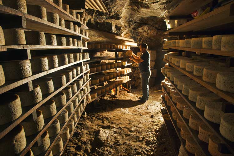 Cabrales cheese cave